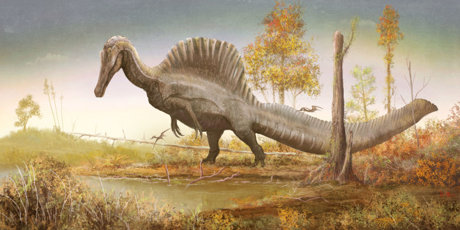 Fig. 1 Neotype Spinosaurus © Witton 2020 R