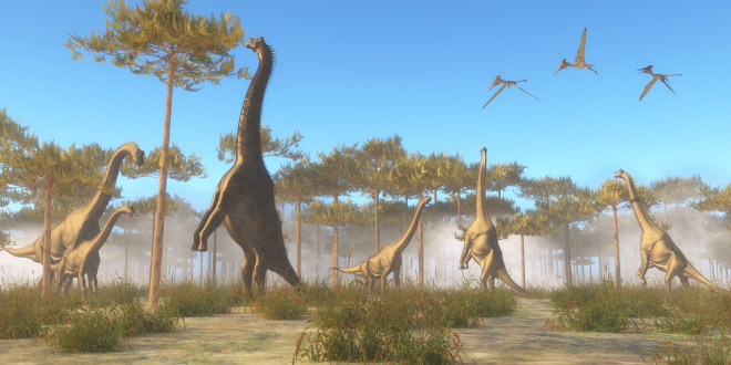 Sauropods, herbivore dinosaurs