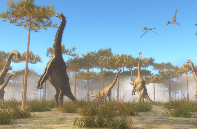 Sauropods, herbivore dinosaurs