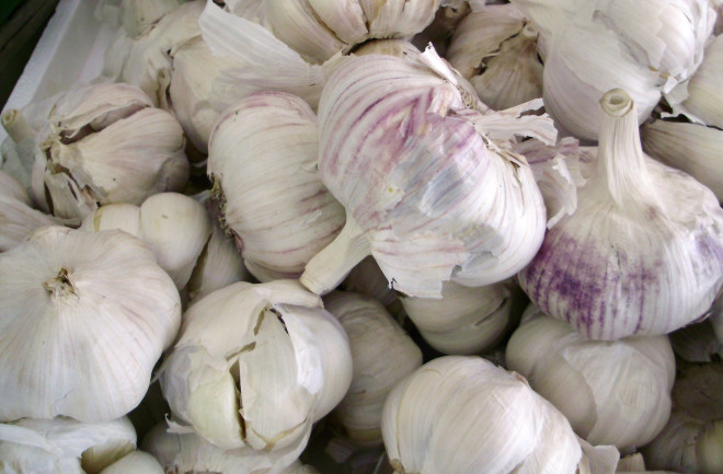 Garlic - Flickr