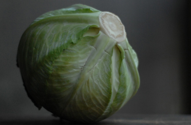 cabbage-credit-postbear.jpg
