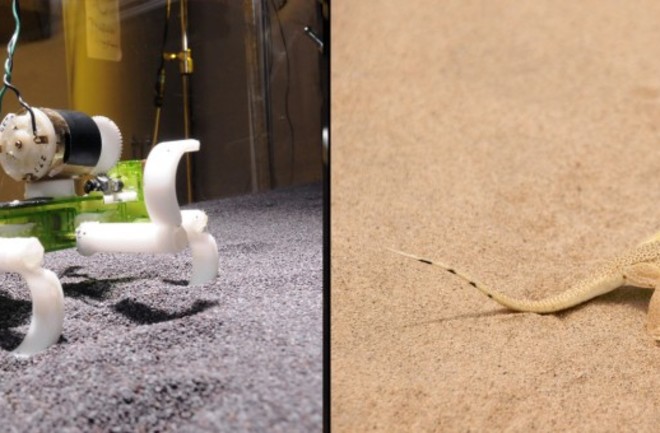 Robot Lizard