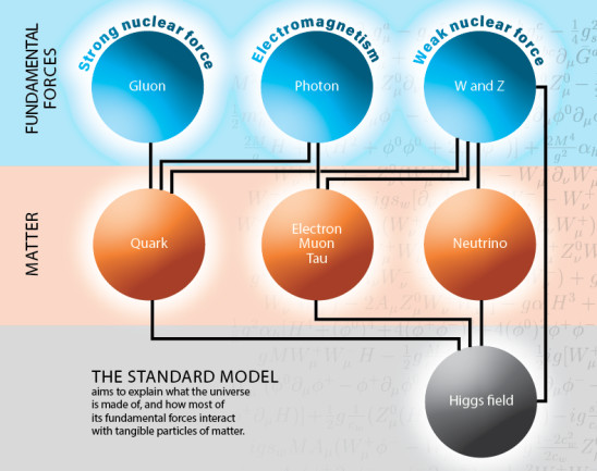 Standard Model Diagram - Thomas D. Gutierrez from Diagrammatica by Martinus Veltman
