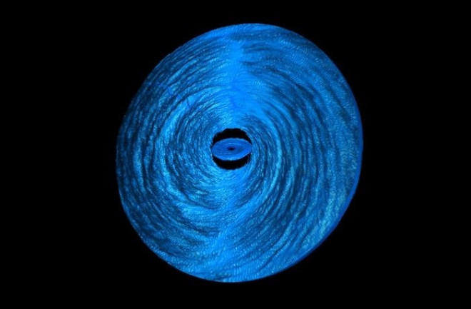 Simulated black hole and accretion disk