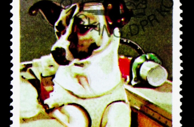 A stamp printed in Democratic People's republic of Korea shows Spacedog Laika, Transport serie, circa 1987