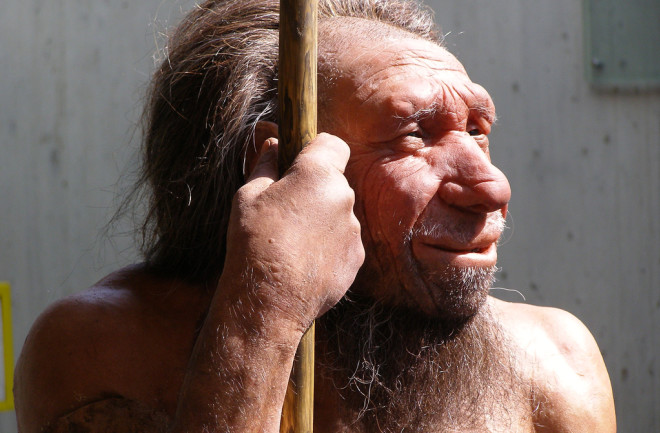 Neanderthal - Flickr
