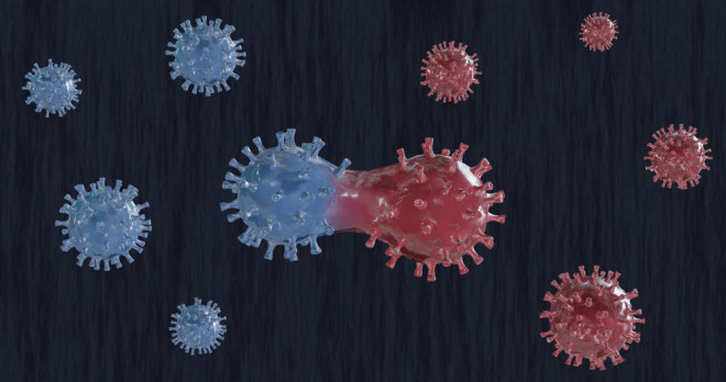 illustration concept of the coronavirus mutating - shutterstock 1684333258