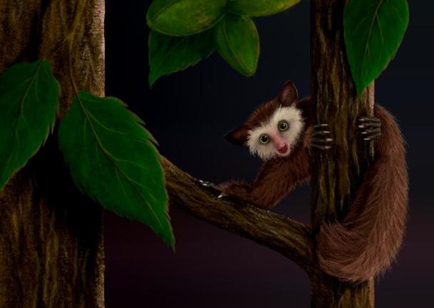 American monkey, last primate to inhabit North America before humans