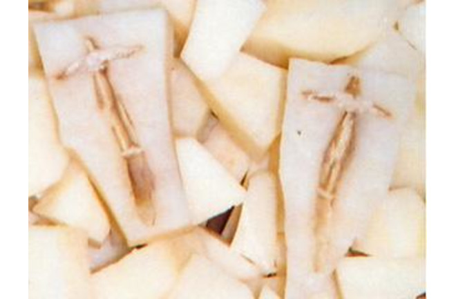 jesus_spud.jpg