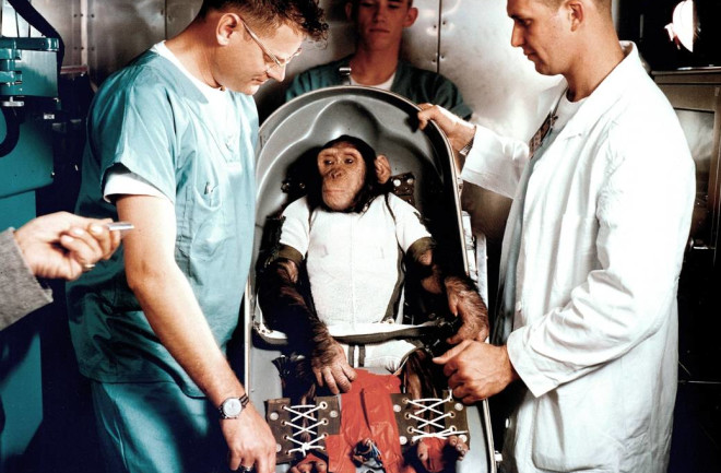 ham the chimp in space - NASA