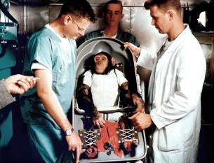 A Brief History of Chimps in Space