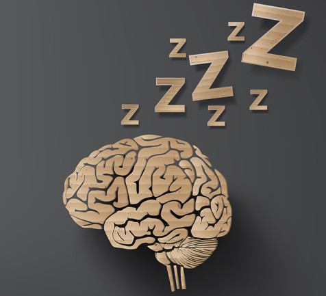brain-sleep.jpg