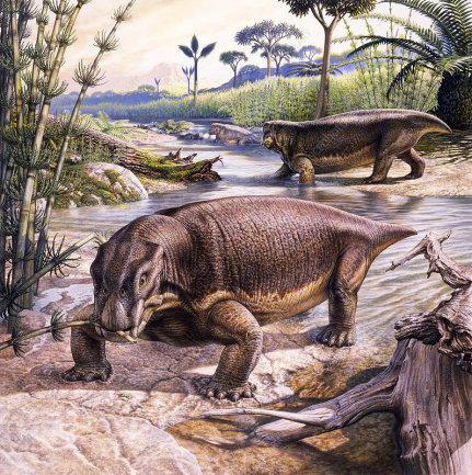 C0354174-Lystrosaurus therapsids, illustration