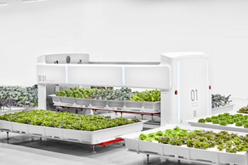 Meet Angus: A Robotic Field Hand for the Autonomous Farming Revolution