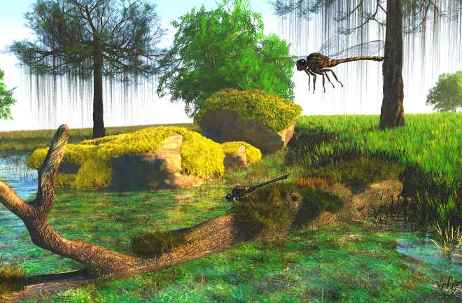 Meganeura dragonflies hover around a pond during the Carboniferous Period.