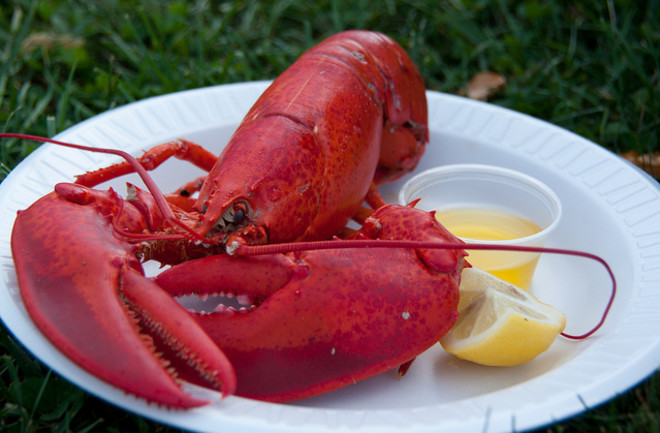 lobsters1.png
