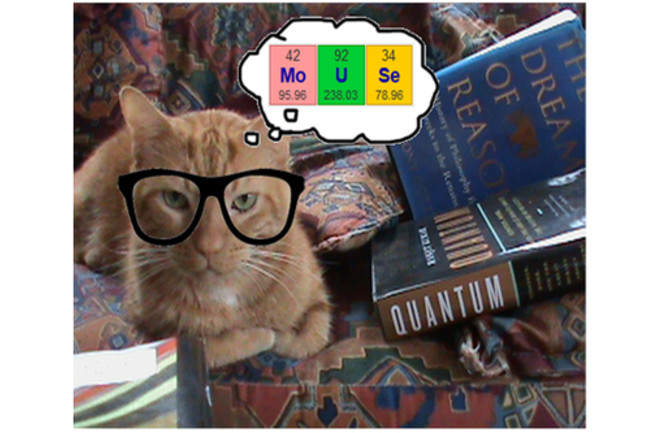 HiggsCat.png