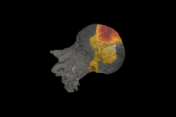 Study Finds Our Ancestors Were Swinging Through Trees More Recently Than We Thought