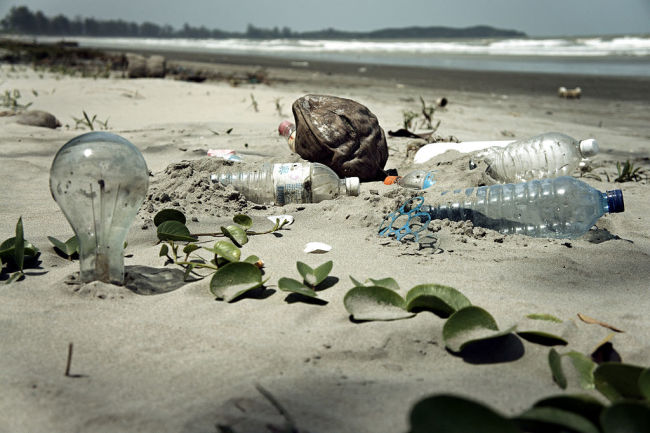 Plastic Trash on Beach - Wikimedia Commons