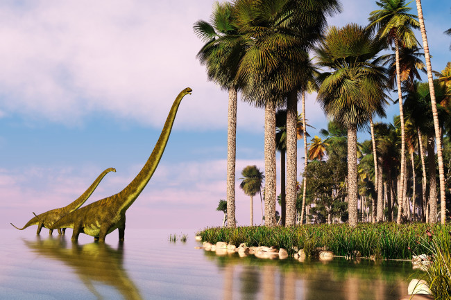 Titanosaur sauropod during the Jurassic period