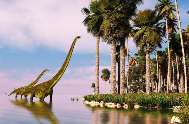 Titanosaur sauropod during the Jurassic period