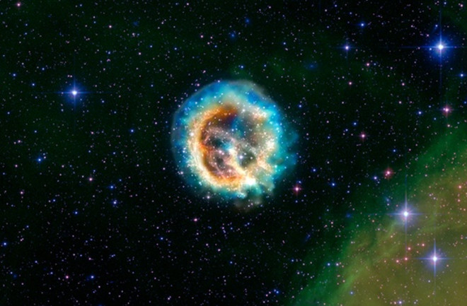 a supernova like this one may have caused a mass extinction