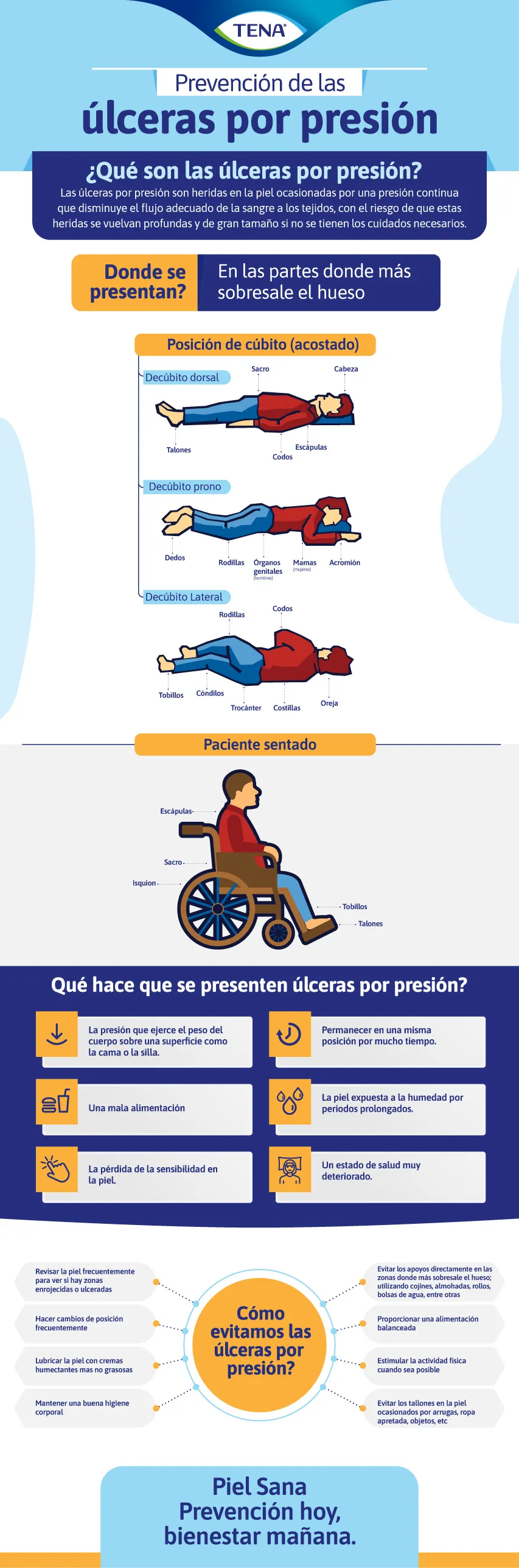 clasificacion-ulceras-por-presion-infografico