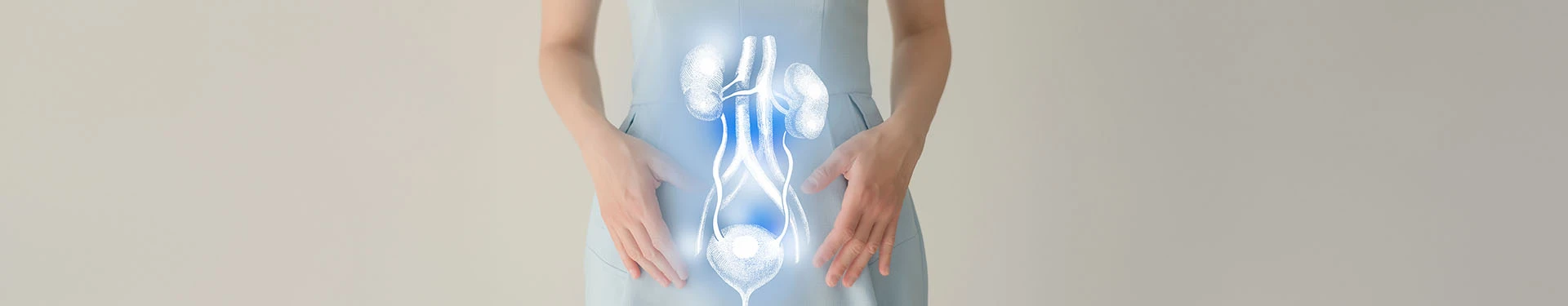 Funciones de la uretra en la mujer, ¿para qué sirve? - TENA