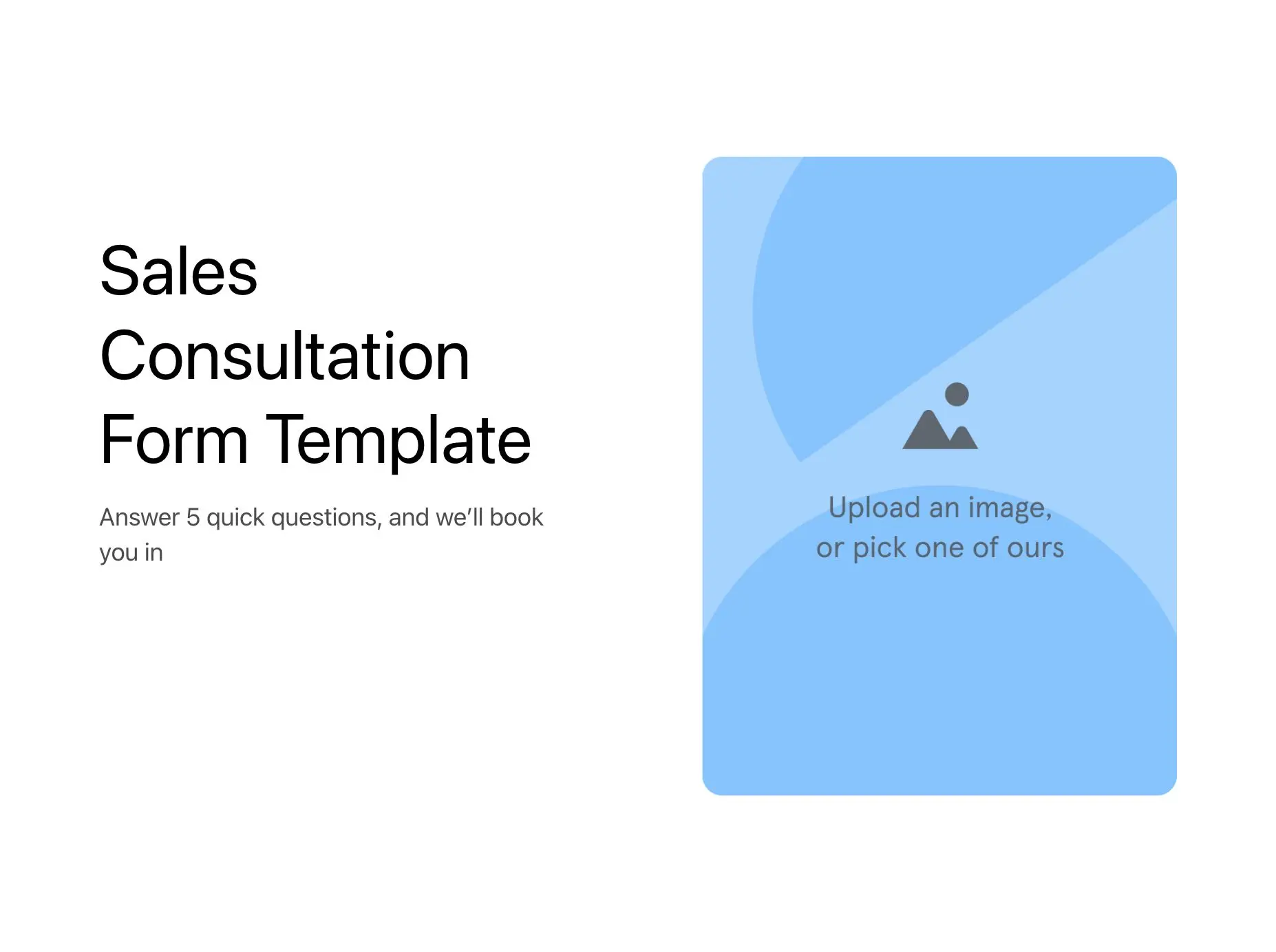 Sales Consultation Form Template Hero