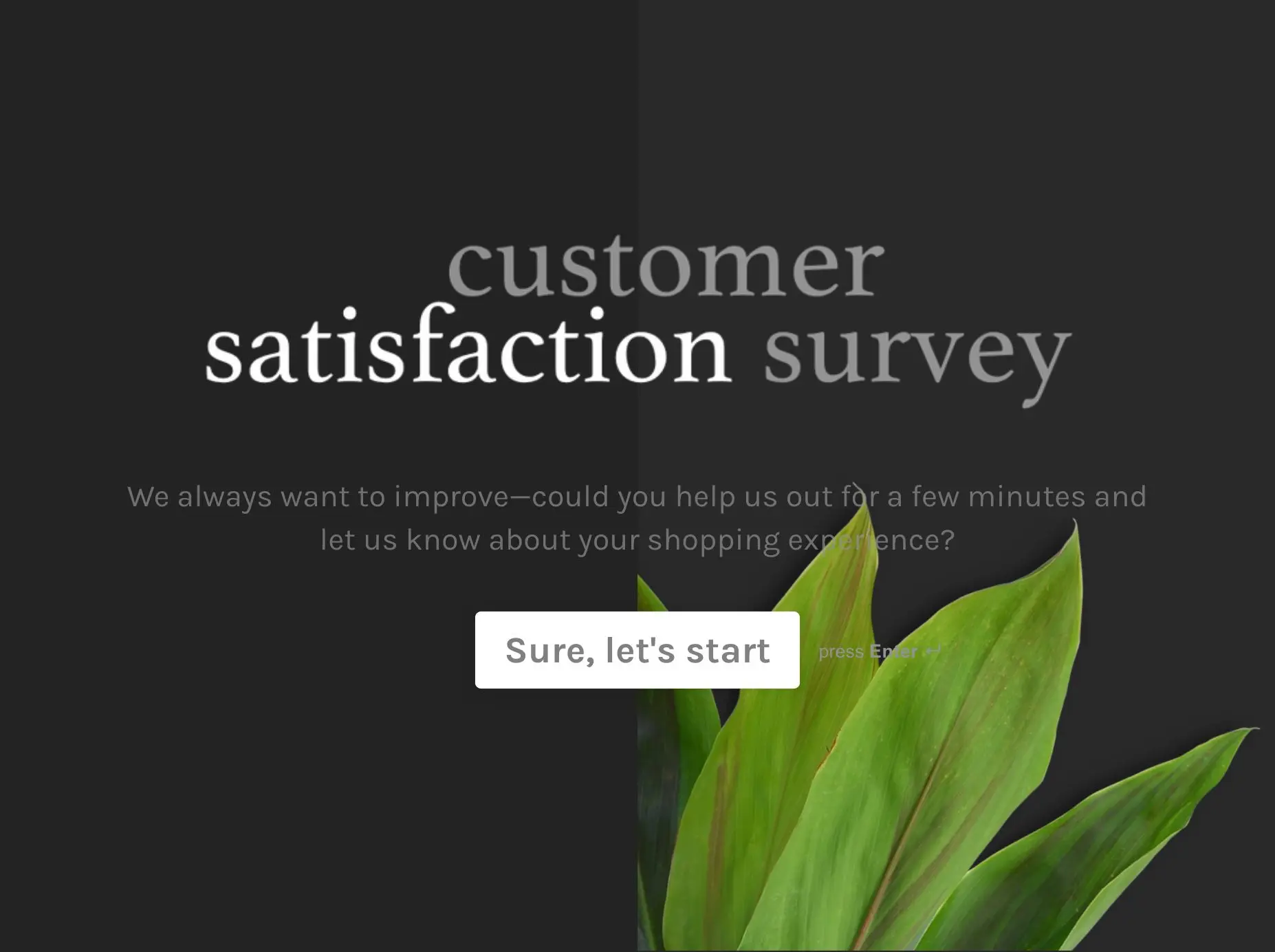 Customer Satisfaction Survey Template Hero