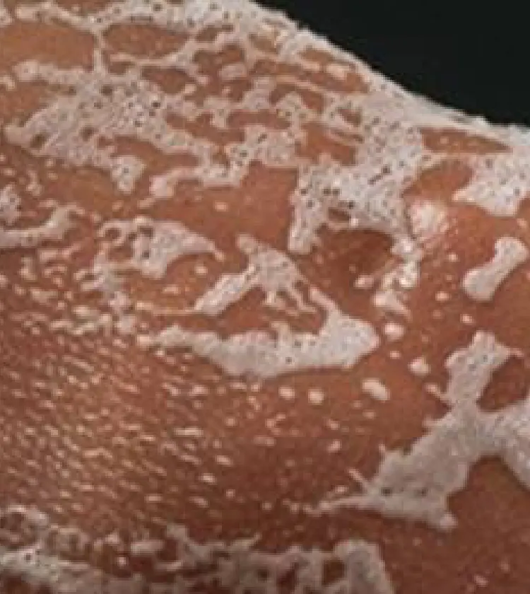 Banner of blog named Manscaping tips for shaving your back without irritation
