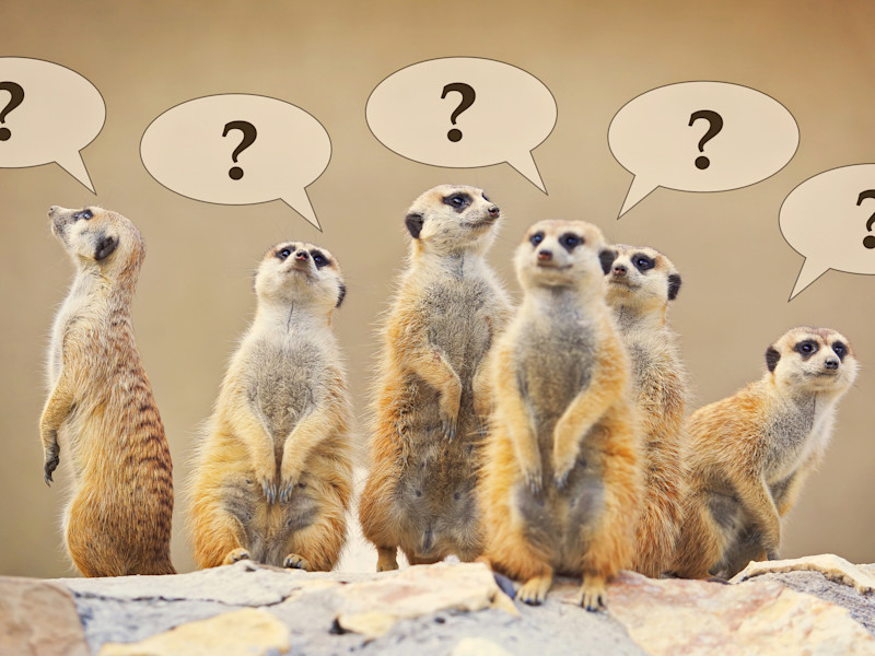 People with questions regarding their career paths and have questions to ask someone in the same career that they want.