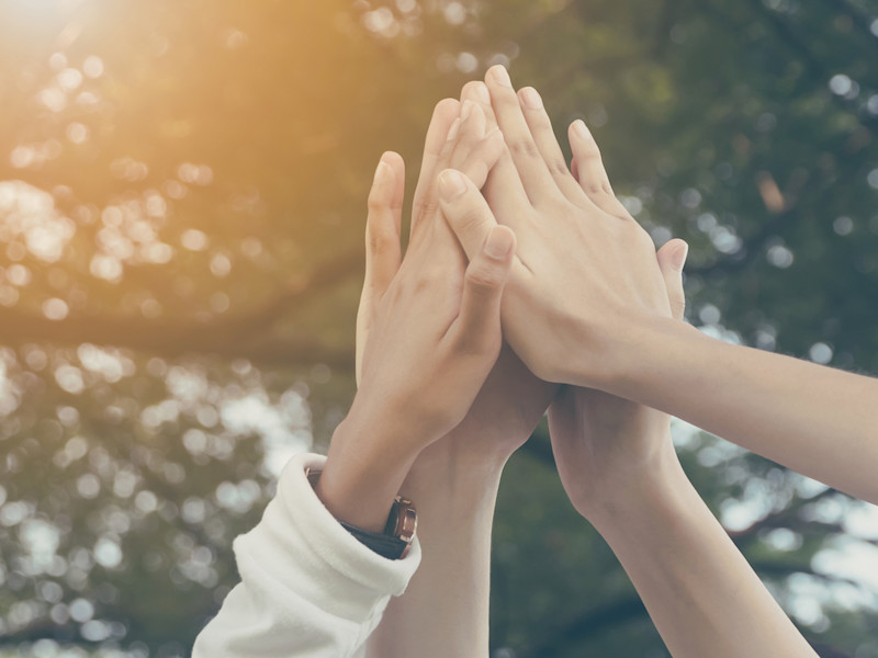 4 hands reaching up for a high five against a backdrop of trees.