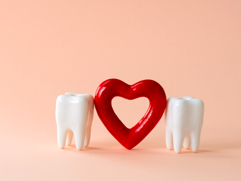 Two Teeth Holding a Heart Celebrating National Dentists Day on March 6