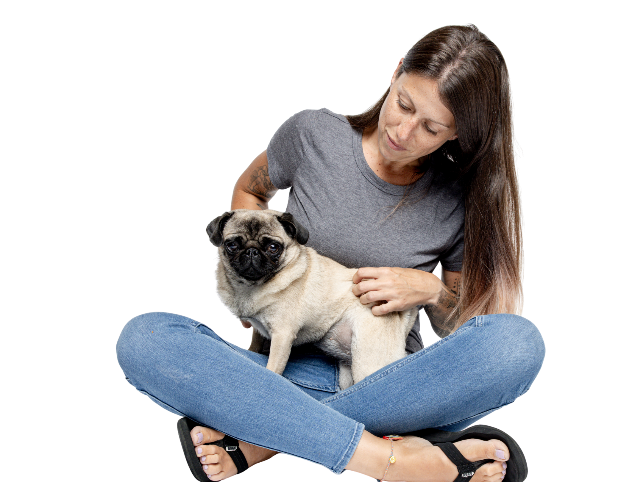 Hero- Embrace vs Figo- Woman with her Pug