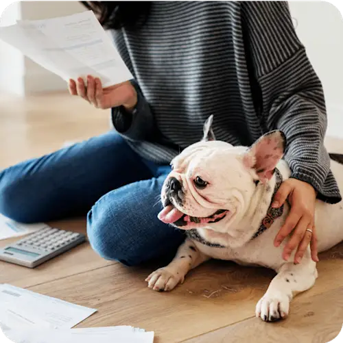 Beware Cheap Pet Insurance