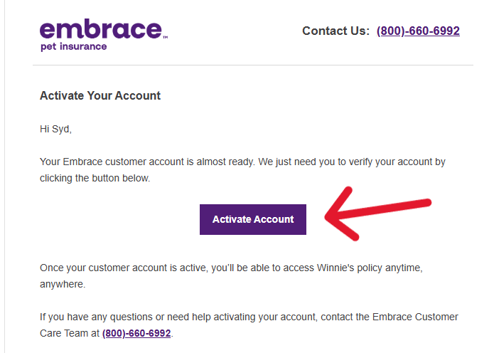 A screenshot from the account activation email for the Embrace portal.