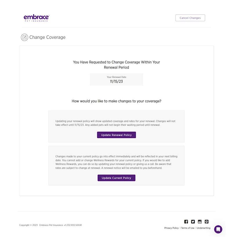 The image shows instructions to choose between updating your current policy, effective in two days, or updating your renewal policy, effective on the renewal date.
