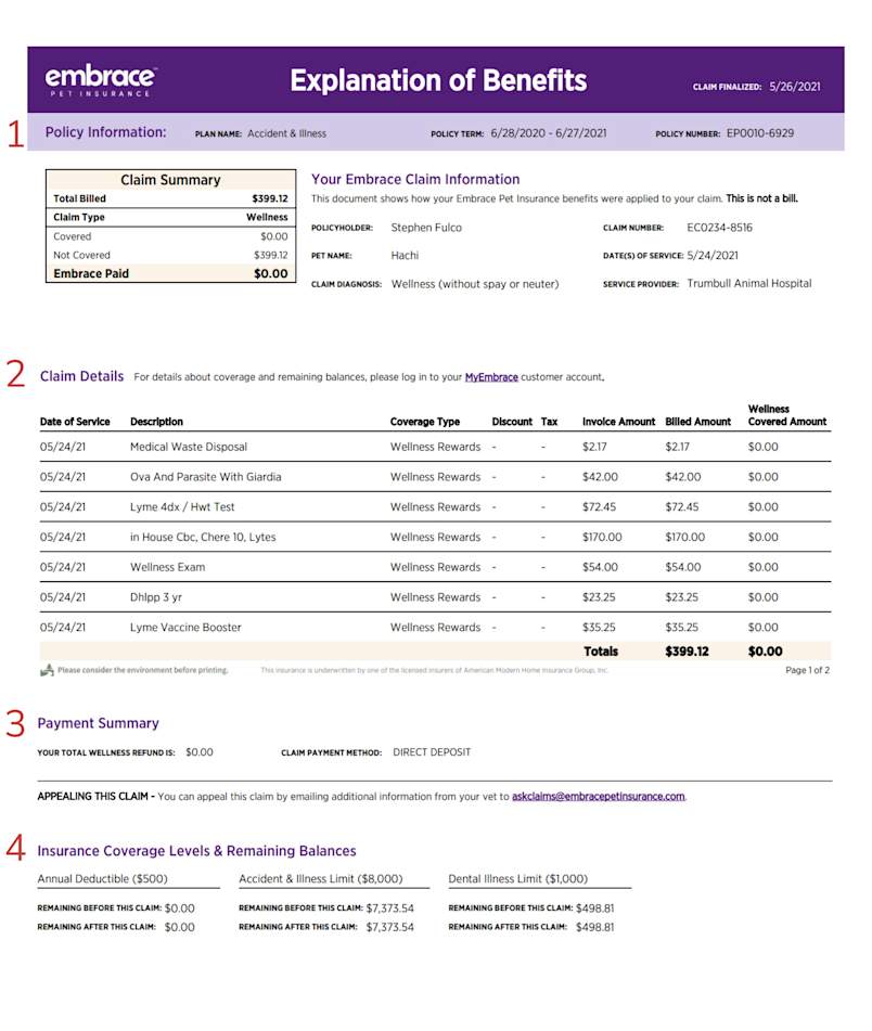 Each section of the Explanation of Benefits displays the Claim and Policy Information, Claim Details, Payment Summary, and Remaining Coverage