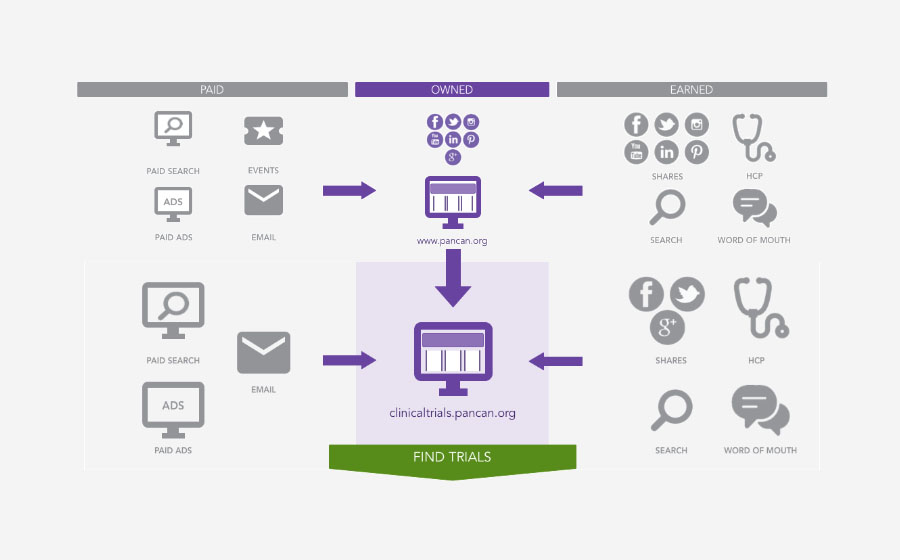 Springbox Digital Strategy Pancreatic Cancer Action Network Ecosystem