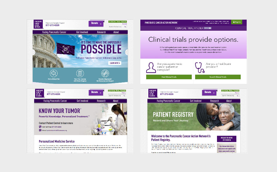 Springbox Digital Strategy Pancreatic Cancer Action Network Web Pages