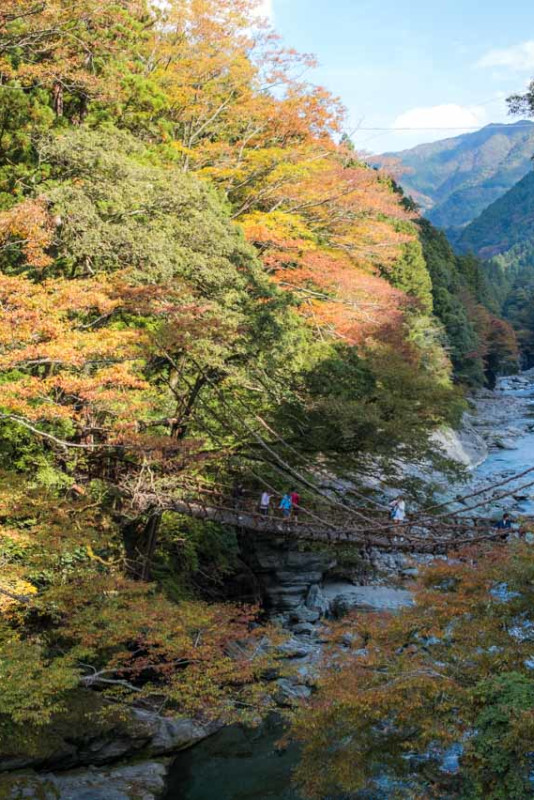 Séjour relaxant ou trépidant, profitez de la beauté et de la nature à Setouchi