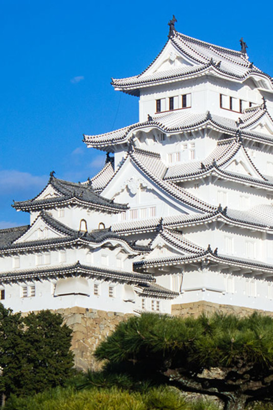 Le château de Himeji – Le héron blanc