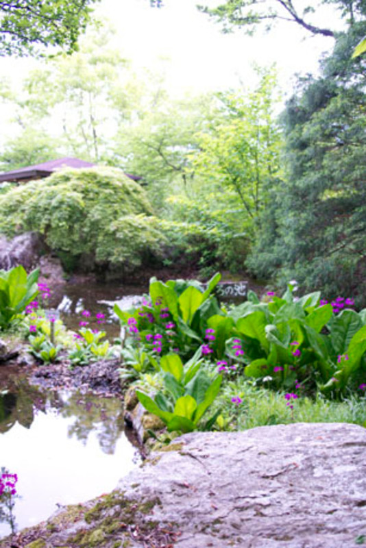 創造的過疎の町を満喫しよう!神山町おすすめスポットめぐり/徳島県