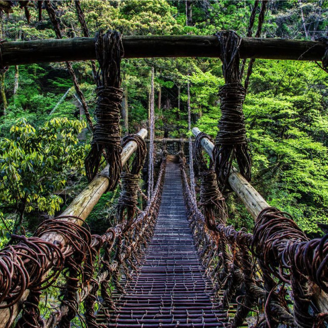 日本三大秘境！徳島県『祖谷』がスゴすぎる！ワイルドな田舎体験と吊り橋効果で恋も実る！？