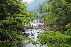 Experience longer, slower travel in Shikoku