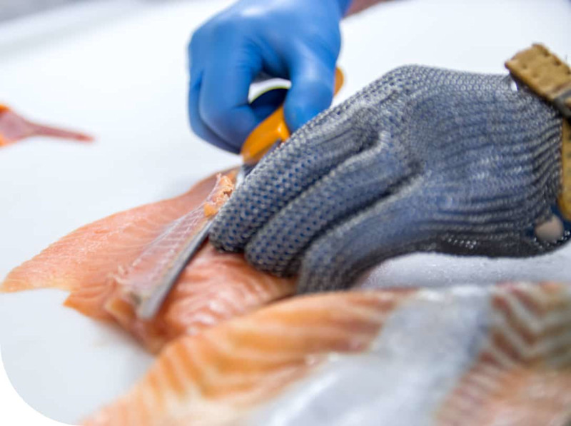 Filleting salmon