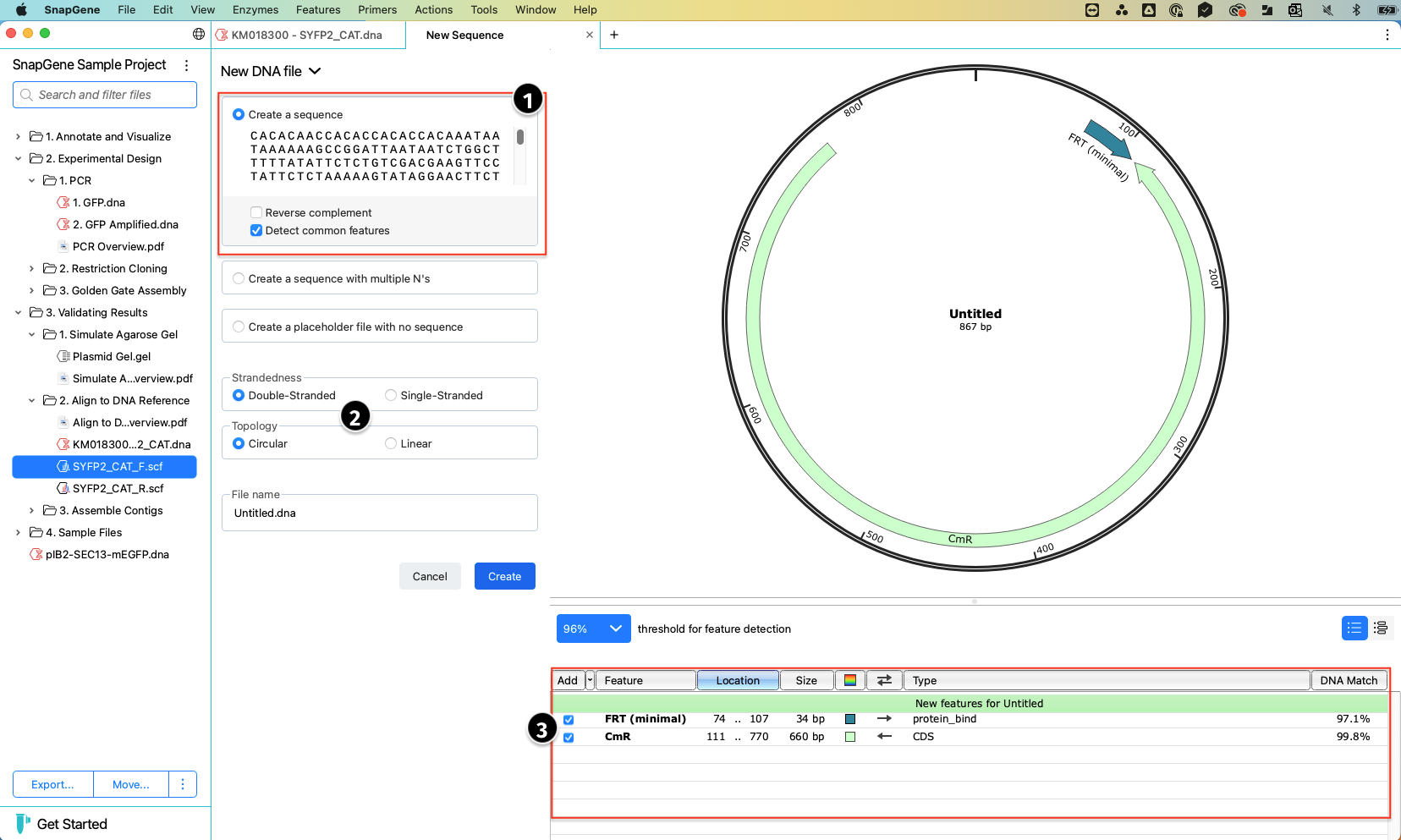 new DNA file.png