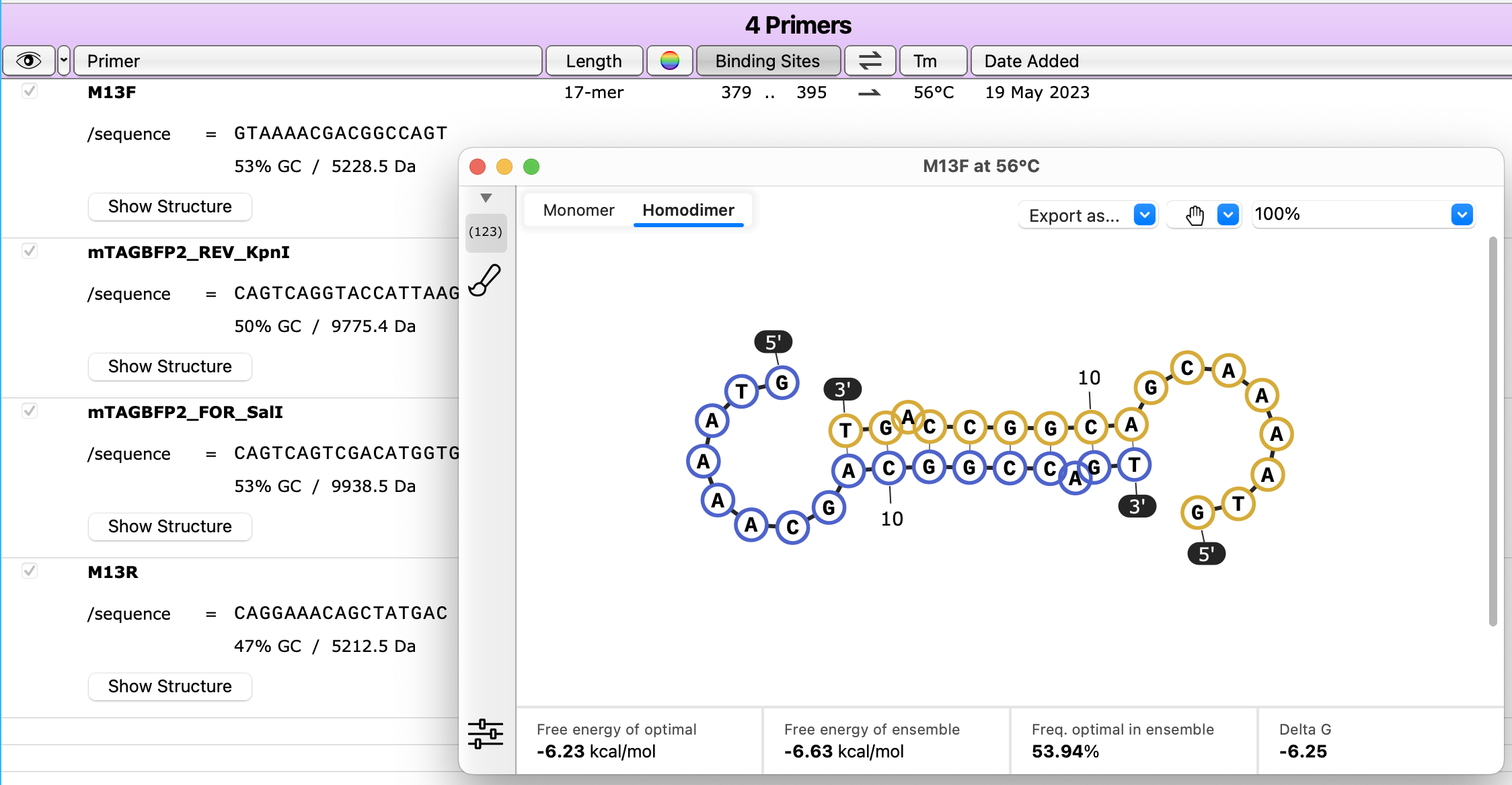 Primer Homodimer Structures