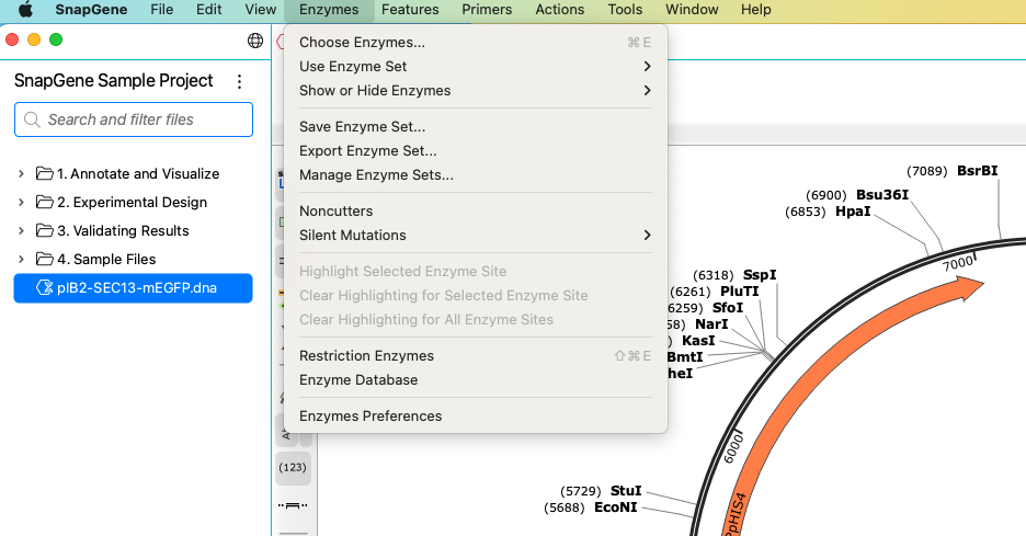 Enzymes menu.png